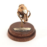 Bronze Domestic Cat Animal Skull Pendant by Fire & Bone