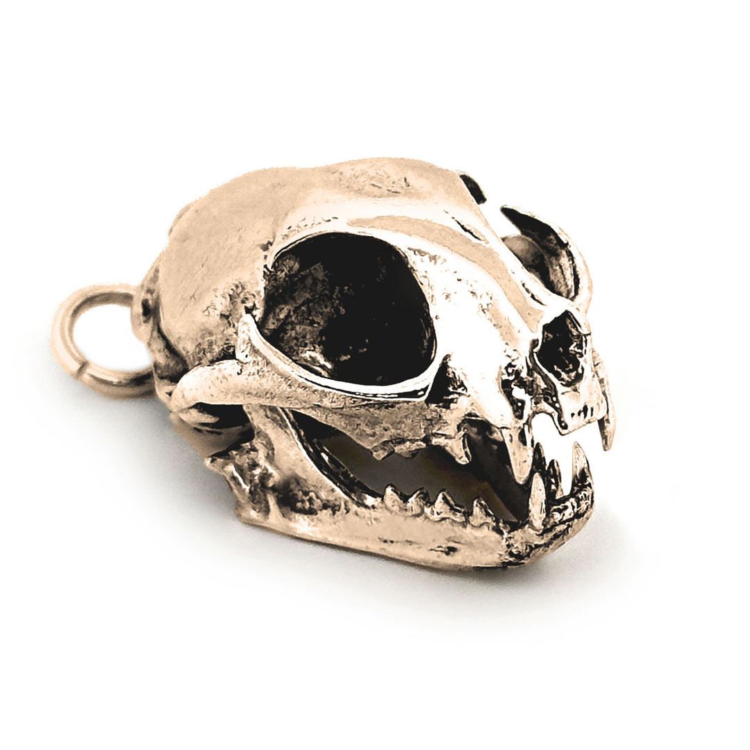 Yellow Bronze Domestic Cat Skull Pendant by Fire & Bone