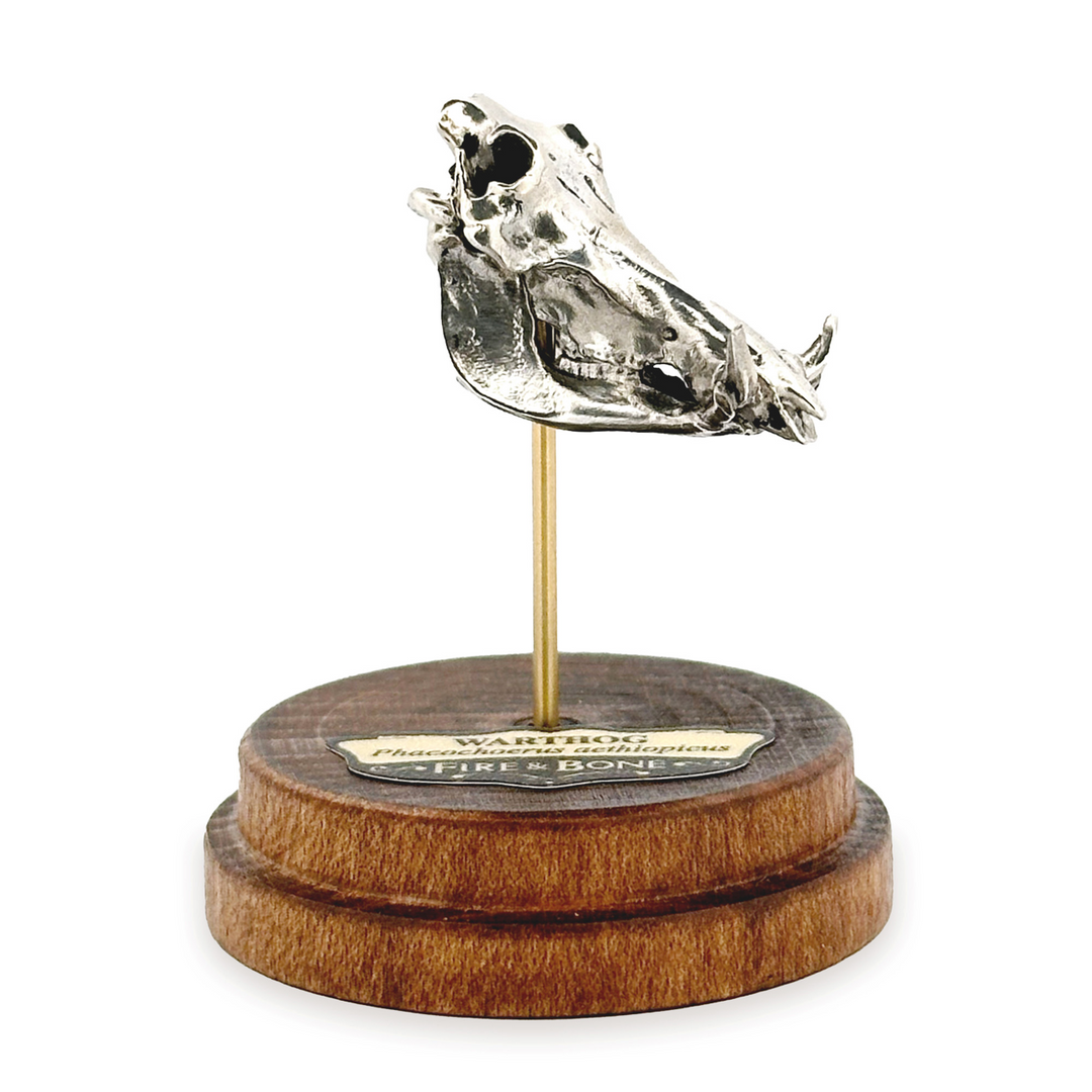 White Bronze Warthog Skull Pendant by Fire & Bone