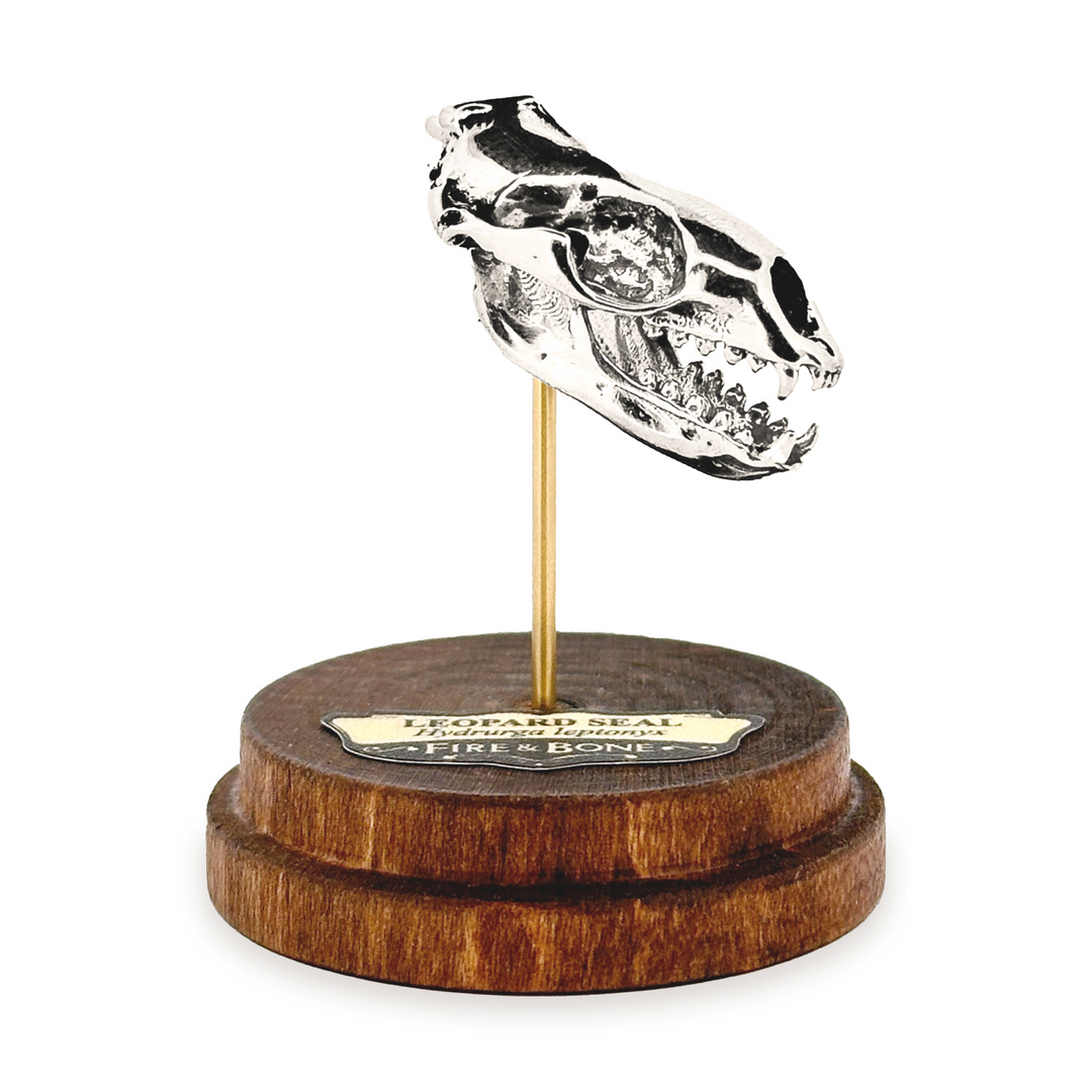 Sterling Silver Leopard Seal Skull Pendant by Fire & Bone