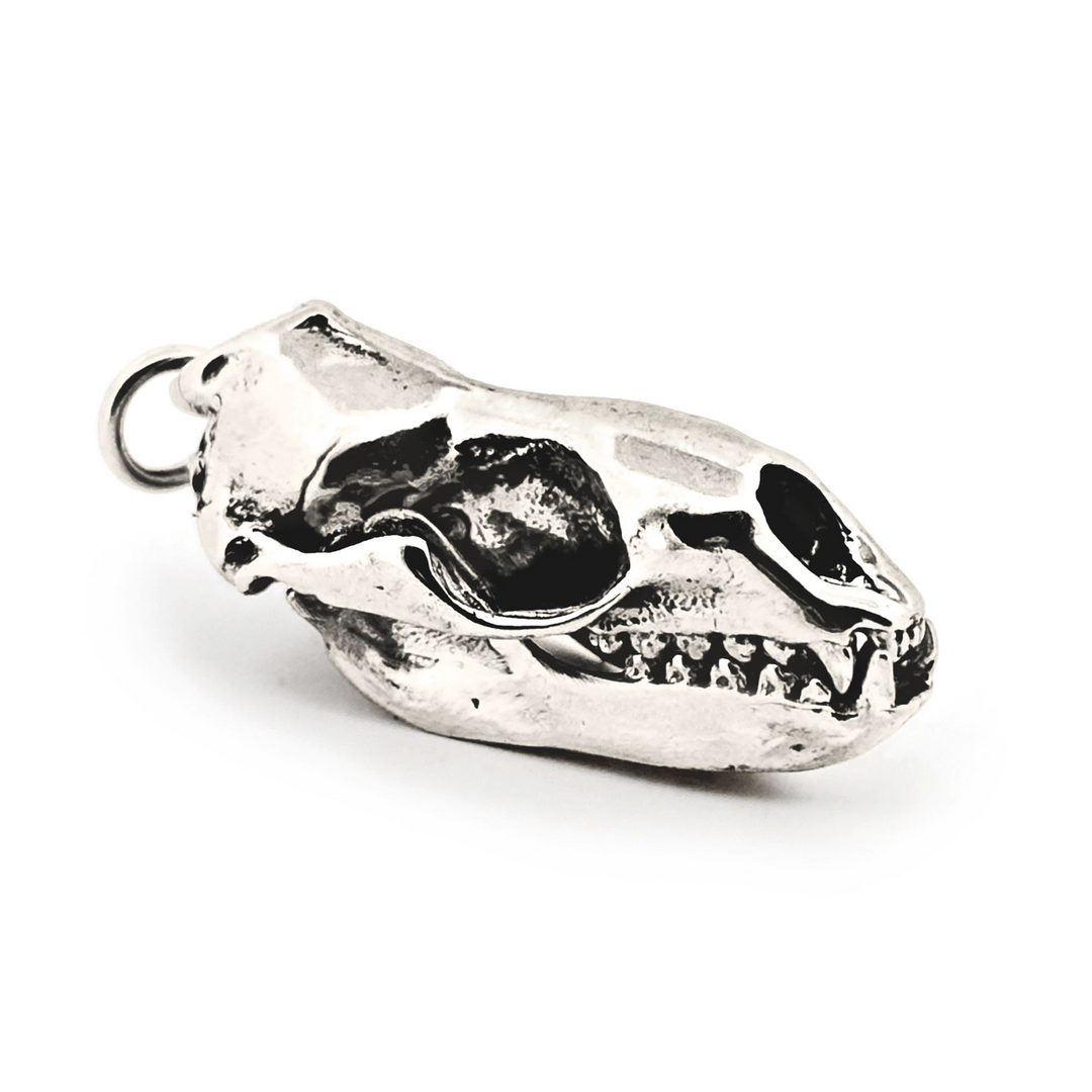 Sterling Silver Leopard Seal Skull Pendant by Fire & Bone