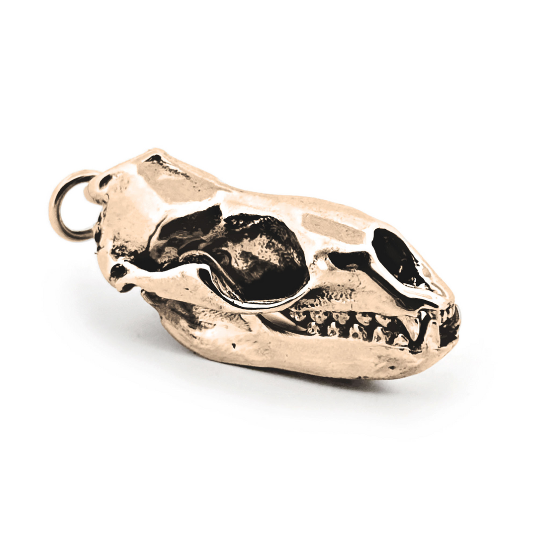 Yellow Bronze Leopard Seal Skull Pendant by Fire & Bone