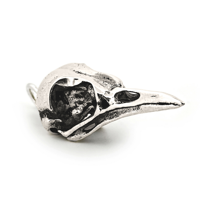 Sterling Silver American Robin Skull Pendant by Fire & Bone