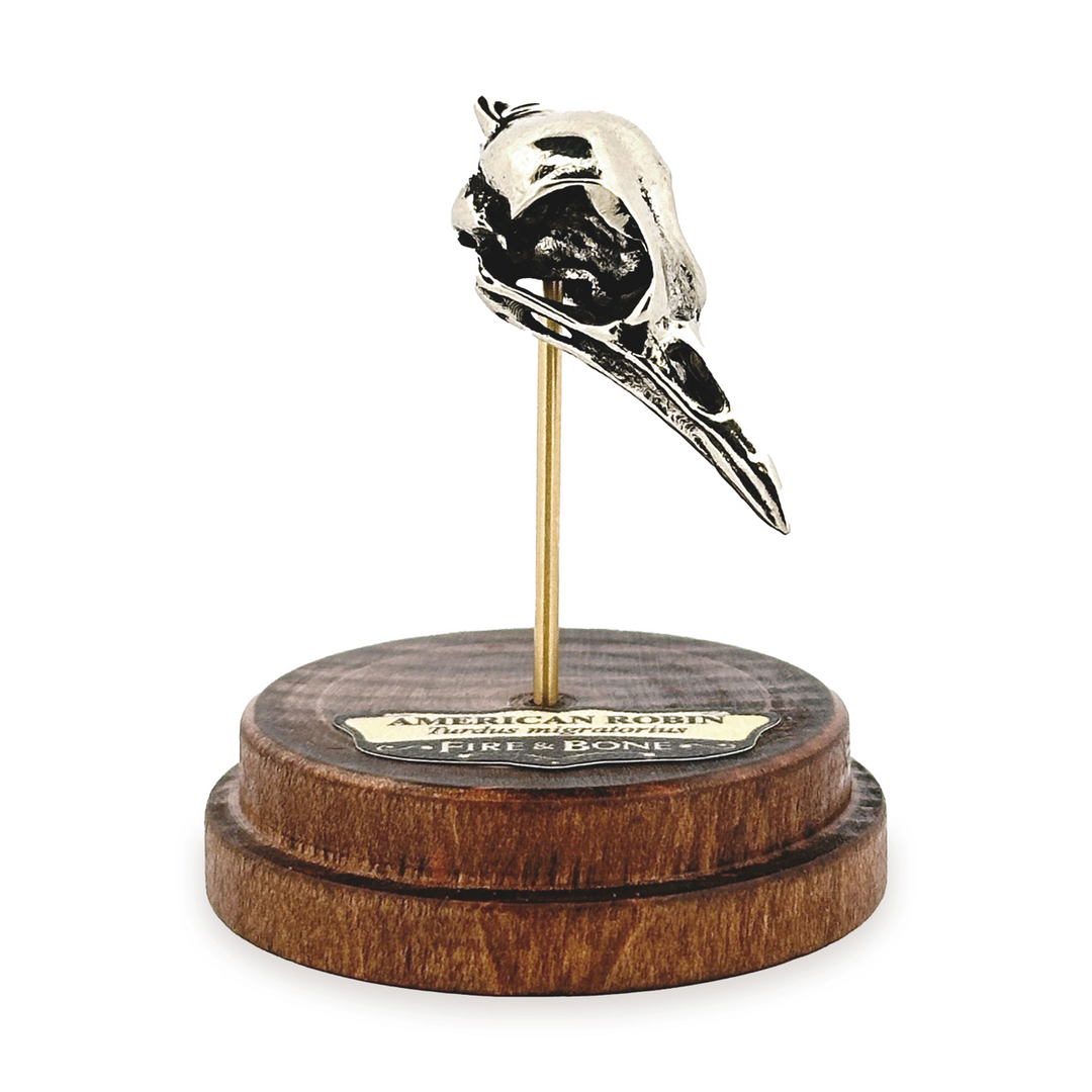 White Bronze American Robin Skull Pendant by Fire & Bone