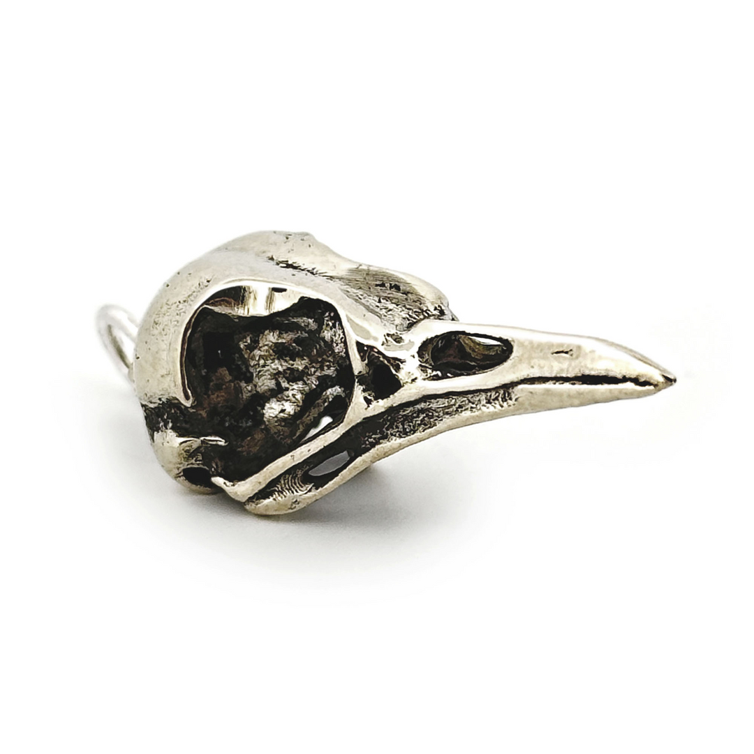White Bronze American Robin Skull Pendant by Fire & Bone