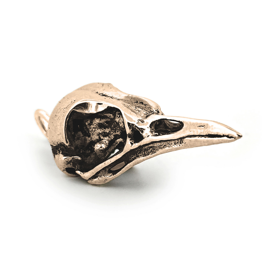 Yellow Bronze American Robin Skull Pendant by Fire & Bone