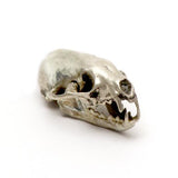 Silver American Pine Marten Animal Skull Pendant by Fire & Bone