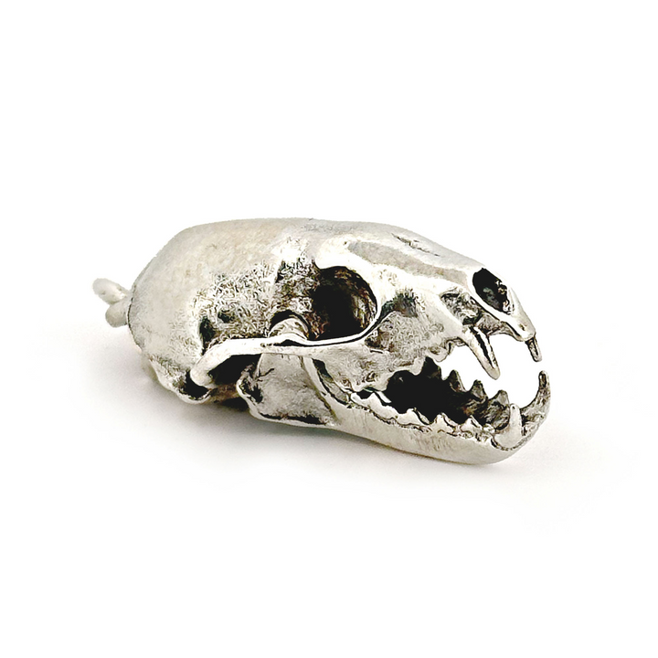White Bronze American Pine Marten Skull Pendant by Fire & Bone
