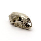 Bronze American Pine Marten Animal Skull Pendant by Fire & Bone