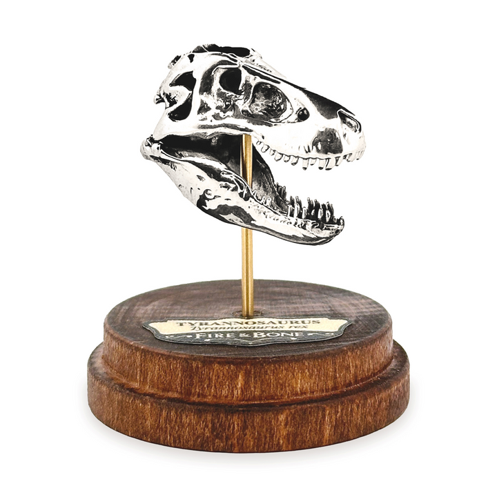 Sterling Silver Tyrannosaurus Skull Pendant by Fire & Bone