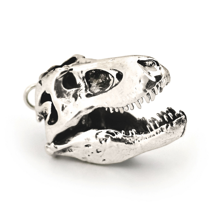 Sterling Silver Tyrannosaurus Skull Pendant by Fire & Bone