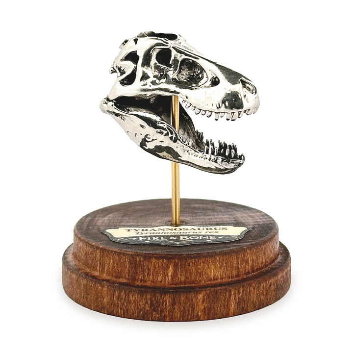 White Bronze Tyrannosaurus Skull Pendant by Fire & Bone