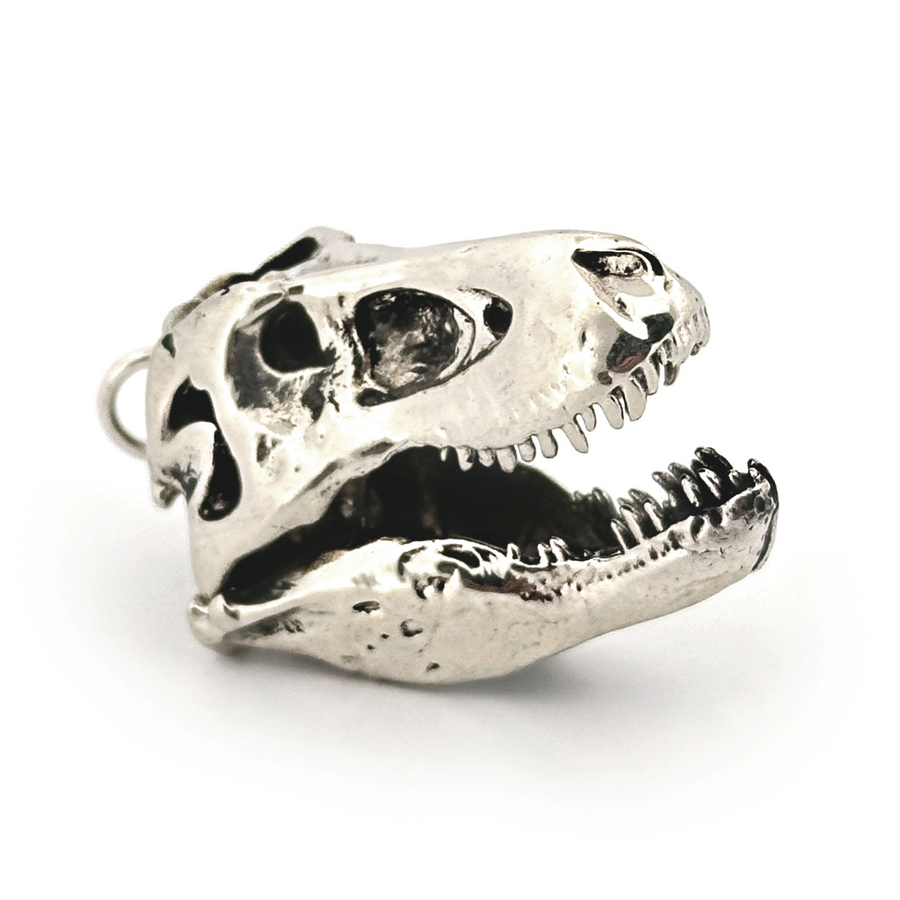 White Bronze Tyrannosaurus Skull Pendant by Fire & Bone