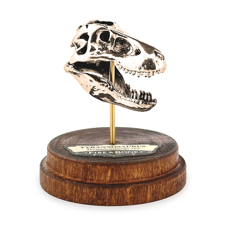 Yellow Bronze Tyrannosaurus Skull Pendant by Fire & Bone