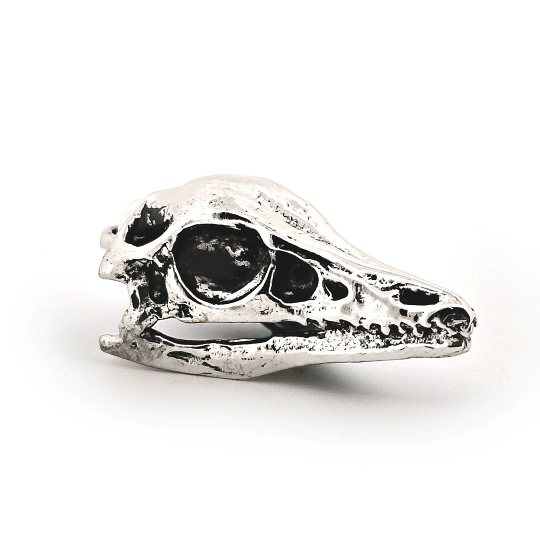 Sterling Silver Archaeopteryx Skull Pendant by Fire & Bone