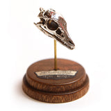 Archaeopteryx - Bronze
