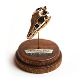 Archaeopteryx - Bronze