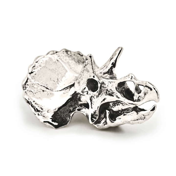 Sterling Silver Triceratops Skull Pendant by Fire & Bone