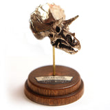 Triceratops - Bronze