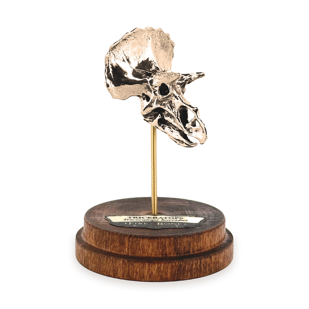 Yellow Bronze Triceratops Skull Pendant by Fire & Bone