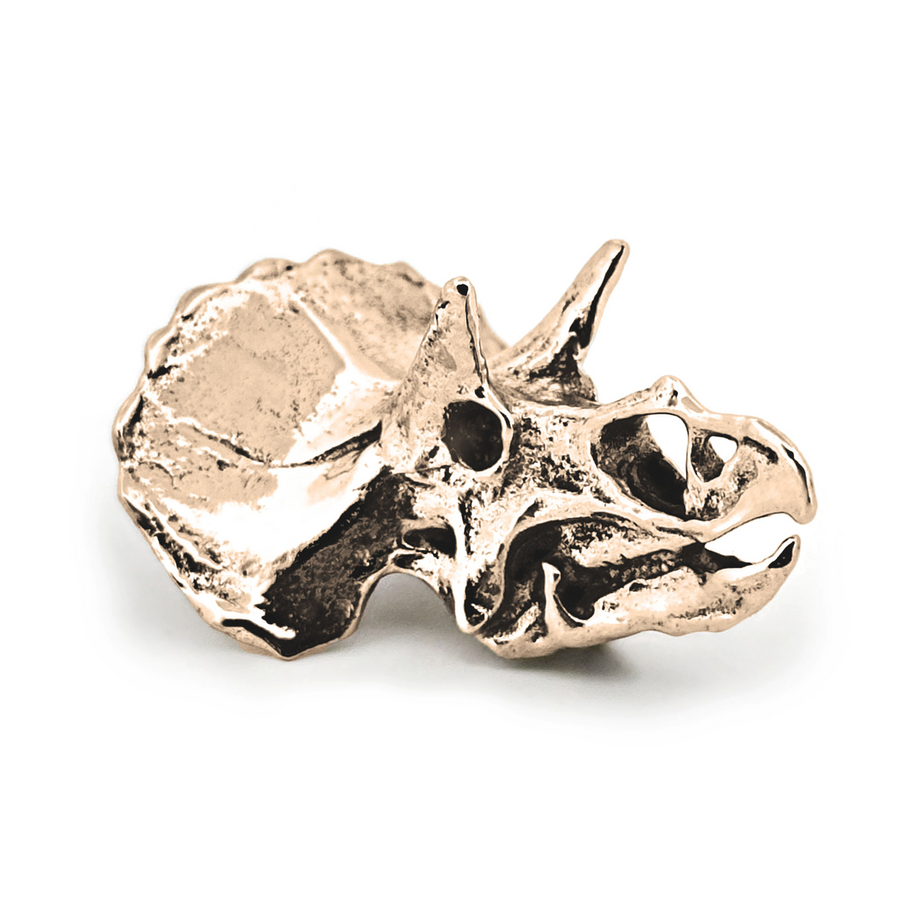 Yellow Bronze Triceratops Skull Pendant by Fire & Bone