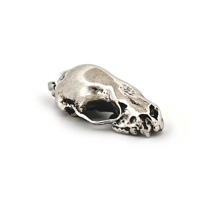 White Bronze Jamaican Fruit Bat Skull Pendant by Fire & Bone