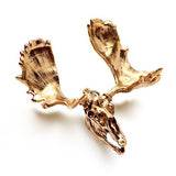 Bronze Moose Animal Skull Pendant by Fire & Bone