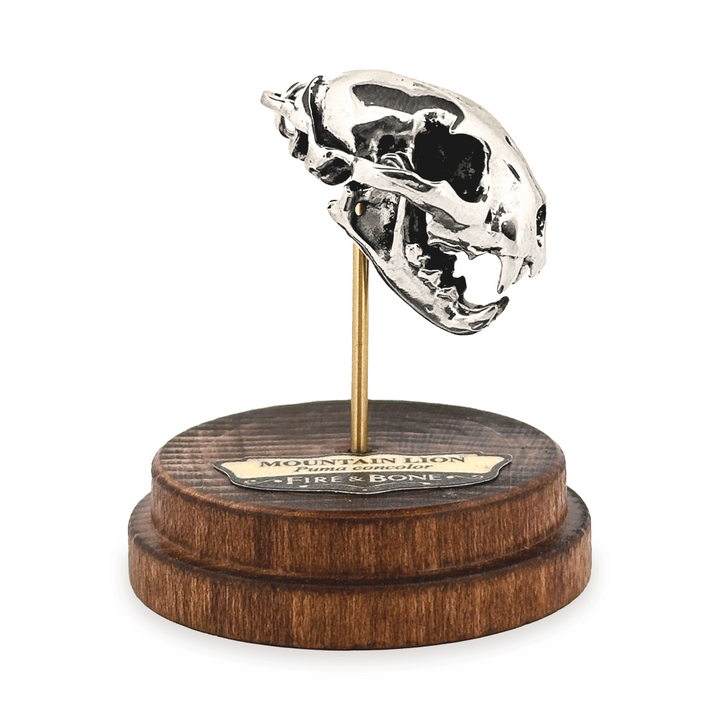 Sterling Silver Mountain Lion Skull Pendant by Fire & Bone