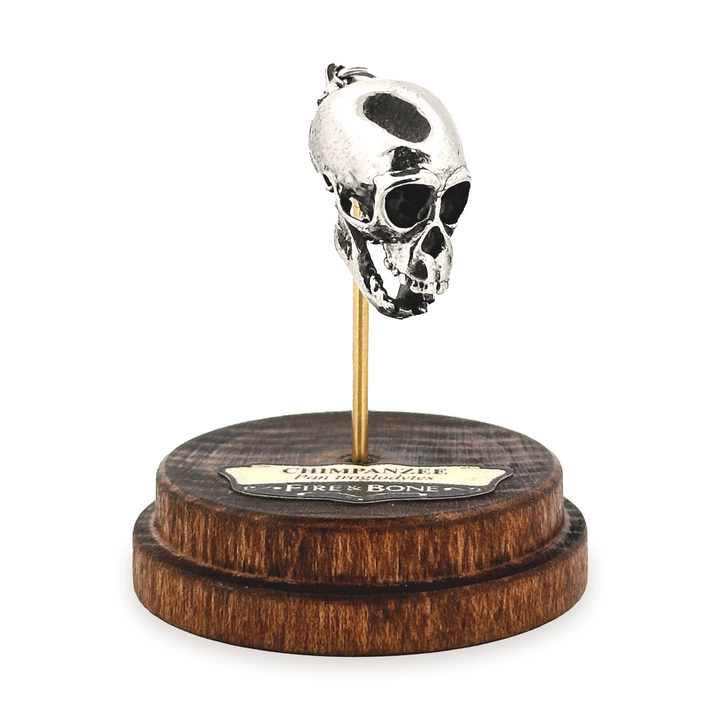Sterling Silver Chimpanzee Skull Pendant by Fire & Bone