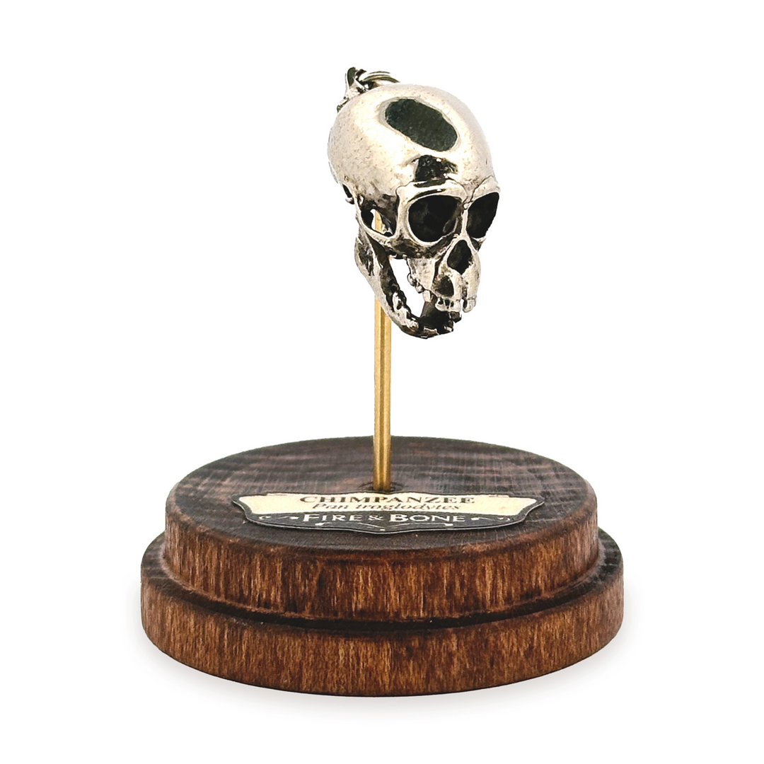 White Bronze Chimpanzee Skull Pendant by Fire & Bone