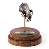 Bronze Sea Otter Animal Skull Pendant by Fire & Bone