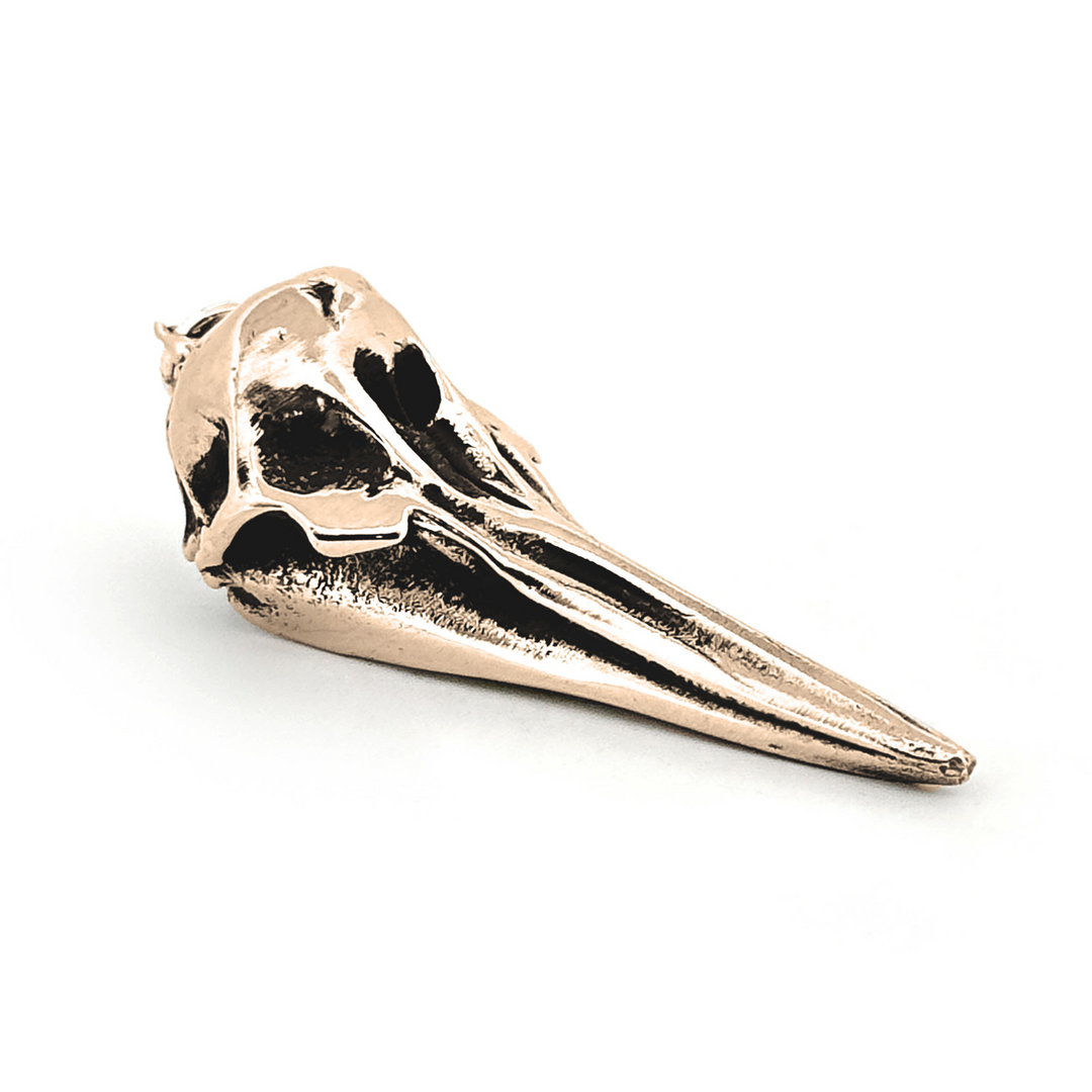 Yellow Bronze Right Whale Dolphin Skull Pendant by Fire & Bone