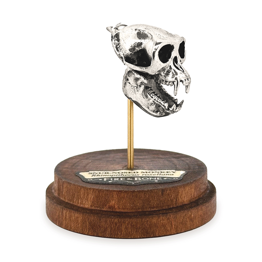 Sterling Silver Snub-Nosed Monkey Skull Pendant by Fire & Bone