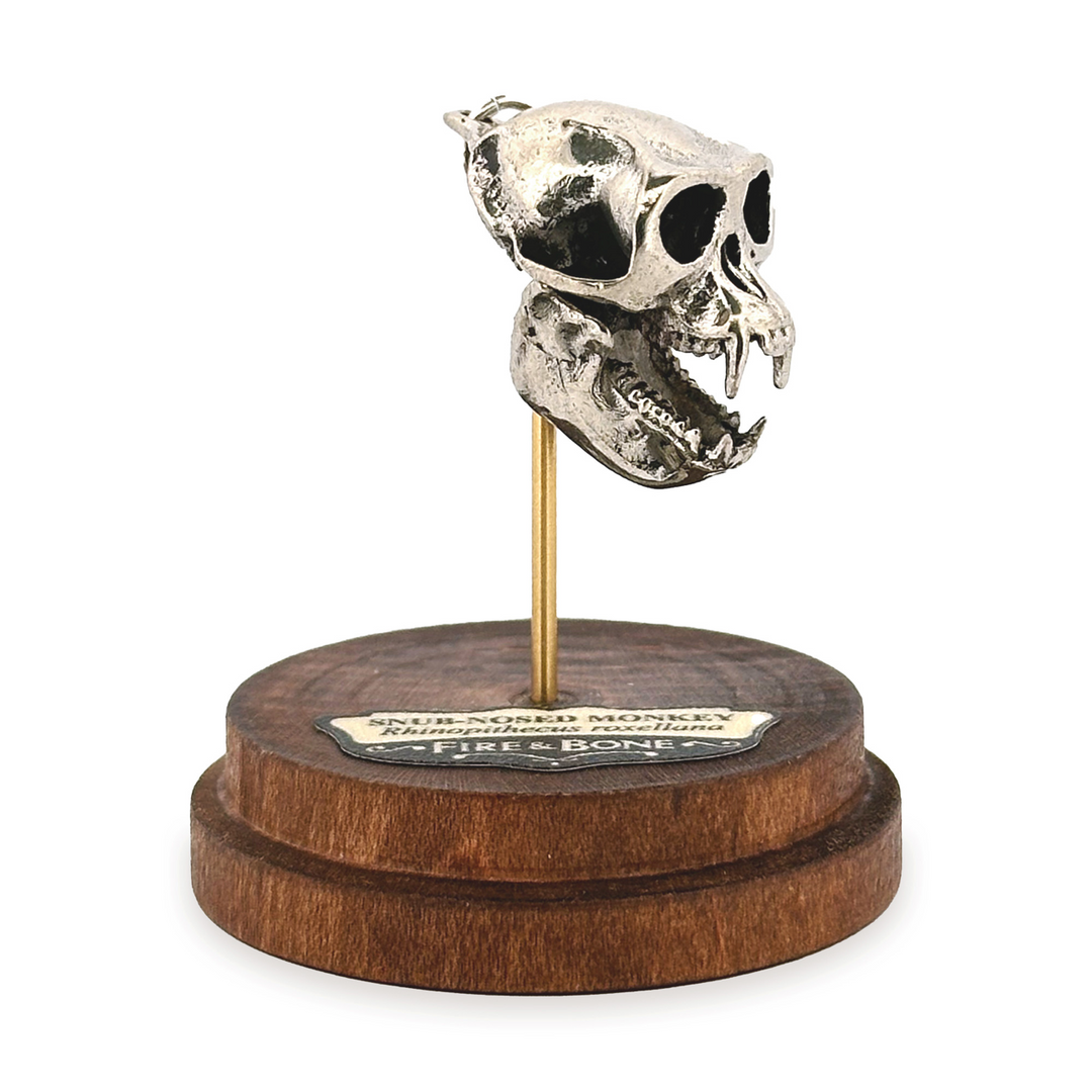 White Bronze Snub-Nosed Monkey Skull Pendant by Fire & Bone