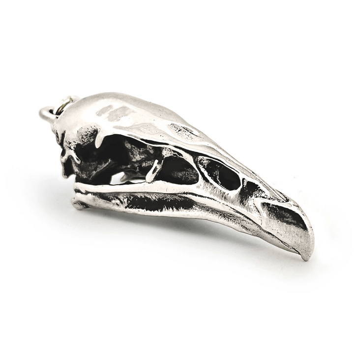 Sterling Silver California Condor Skull Pendant by Fire & Bone