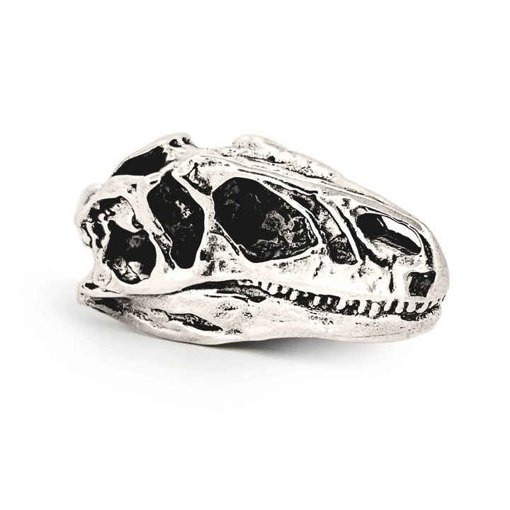 Sterling Silver Allosaurus Skull Pendant by Fire & Bone