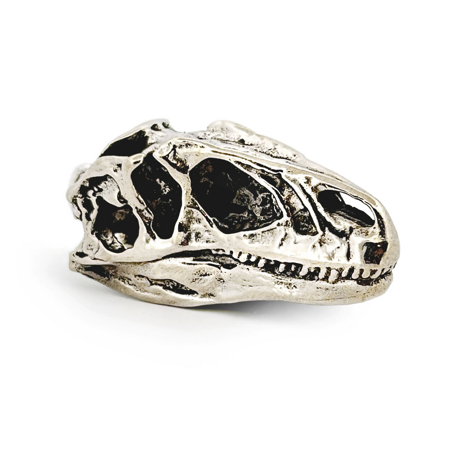 White Bronze Allosaurus Skull Pendant by Fire & Bone