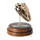Allosaurus - Bronze