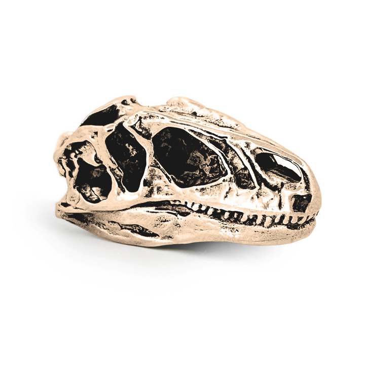 Yellow Bronze Allosaurus Skull Pendant by Fire & Bone
