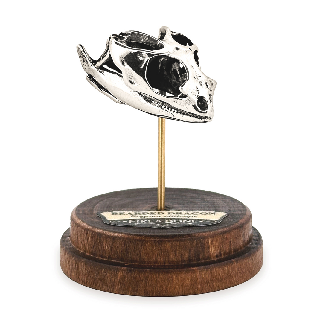 Sterling Silver Bearded Dragon Skull Pendant by Fire & Bone