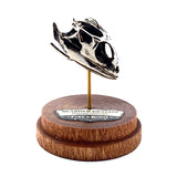Bearded Dragon - Bronze