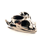 Bearded Dragon - Bronze