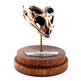 Bearded Dragon - Bronze
