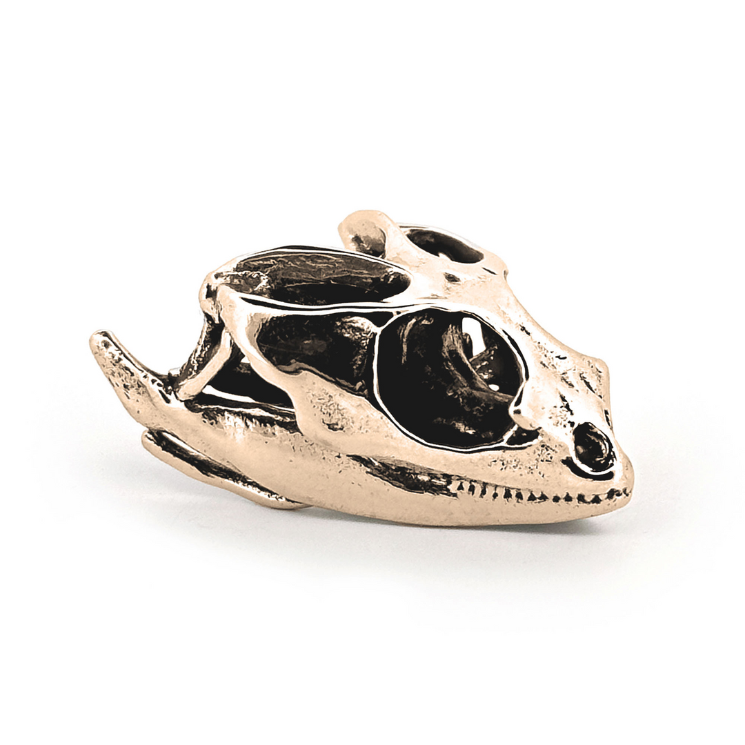 Yellow Bronze Bearded Dragon Skull Pendant by Fire & Bone