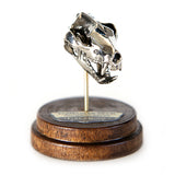 Tasmanian Devil - Bronze