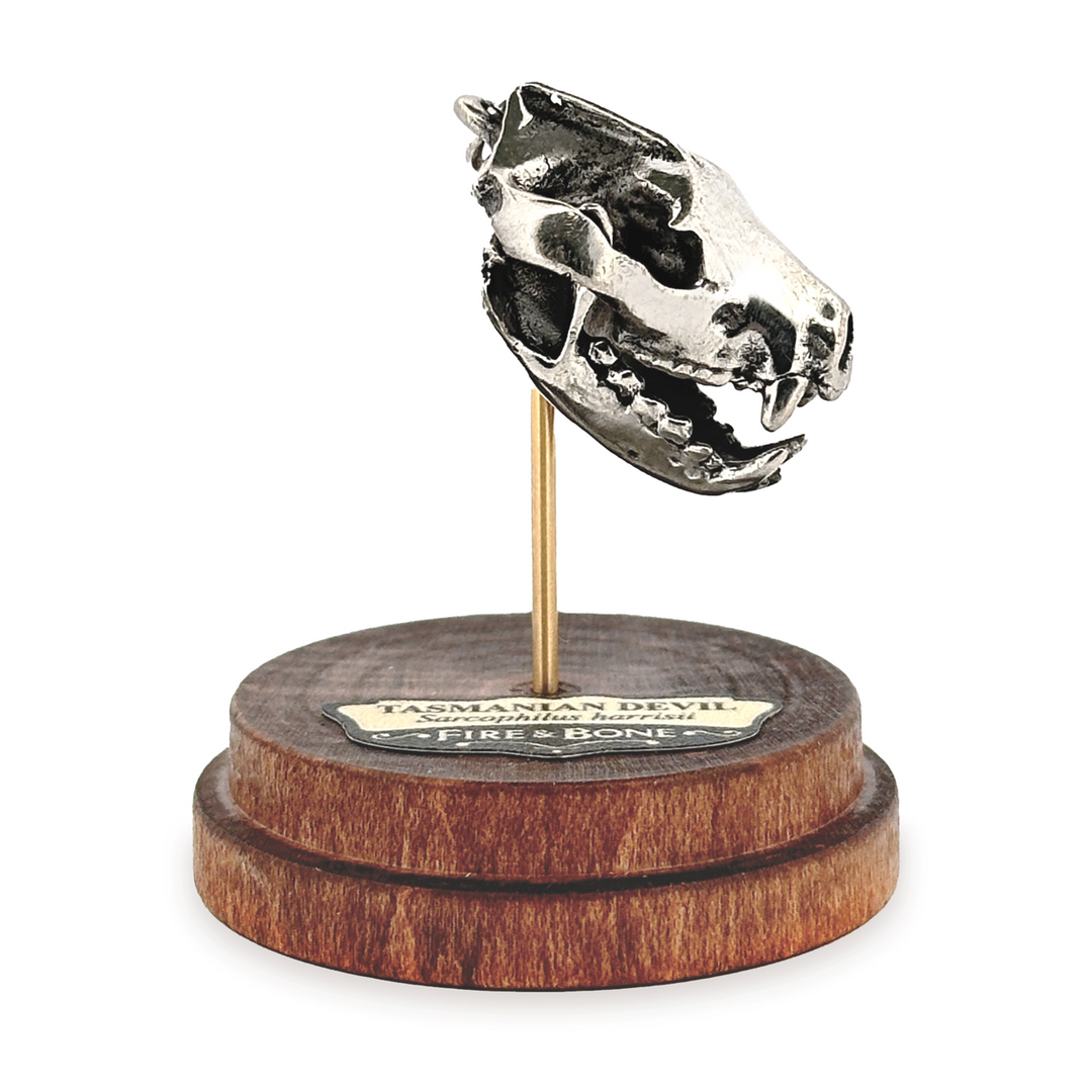 Tasmanian devil necklace on sale
