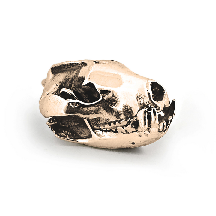 Yellow Bronze Tasmanian Devil Skull Pendant by Fire & Bone