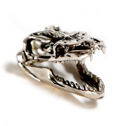 Python - Silver