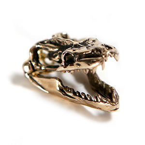 Python - Bronze