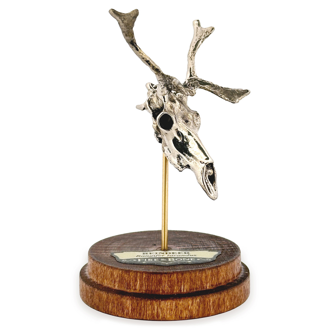 White Bronze Reindeer Skull Pendant by Fire & Bone